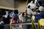 DSC_1919.JPG